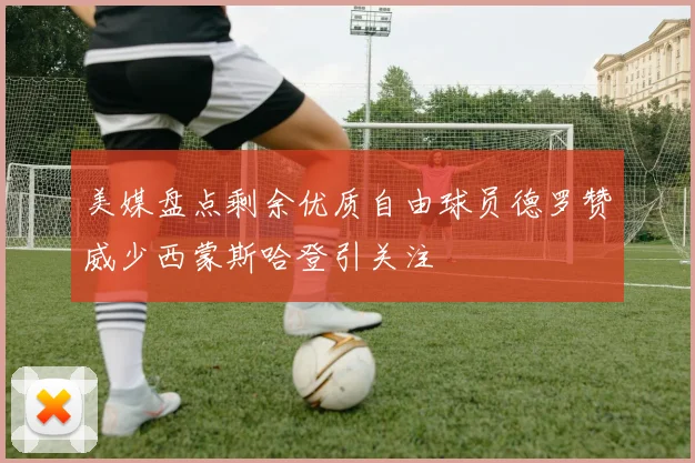 美媒盘点剩余优质自由球员德罗赞威少西蒙斯哈登引关注